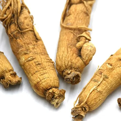 Bester Verkauf American Ginseng P. E Extrakt