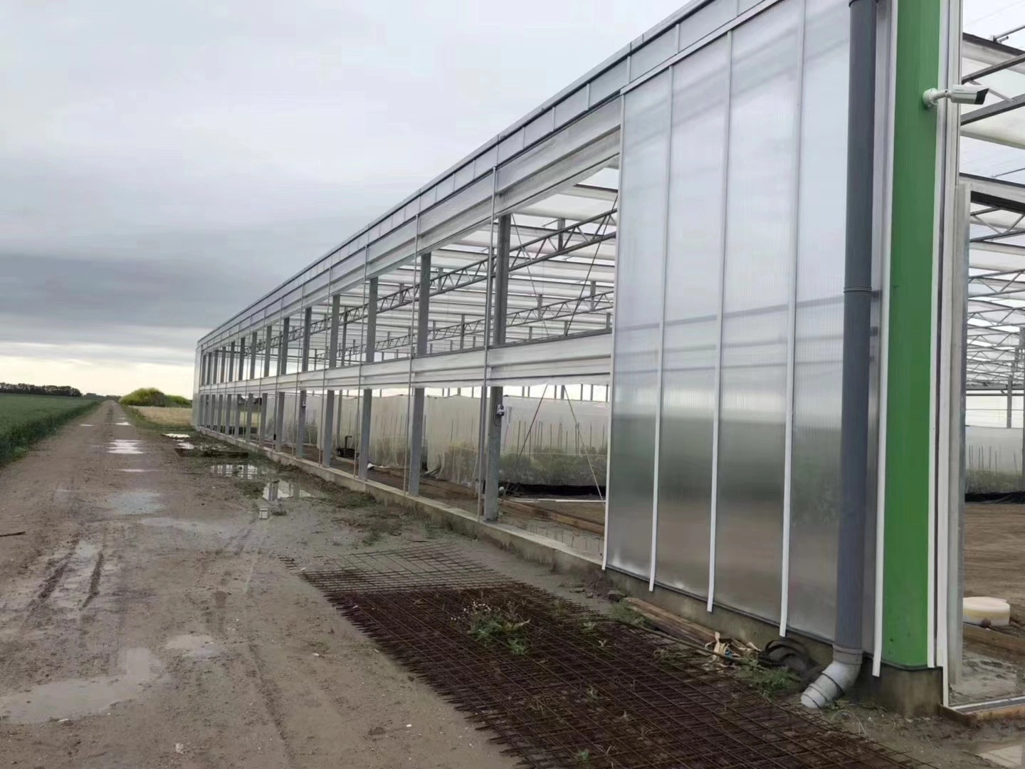 Poly Carbonate Greenhouse for Tomato Cucumber Pepper Growing