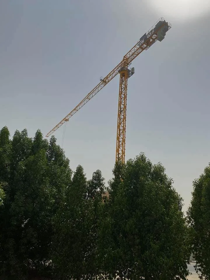 Sun Official Best Selling 10ton China Building Construction Hydraulic Topless Tower Crane Price Qtp7015-10t