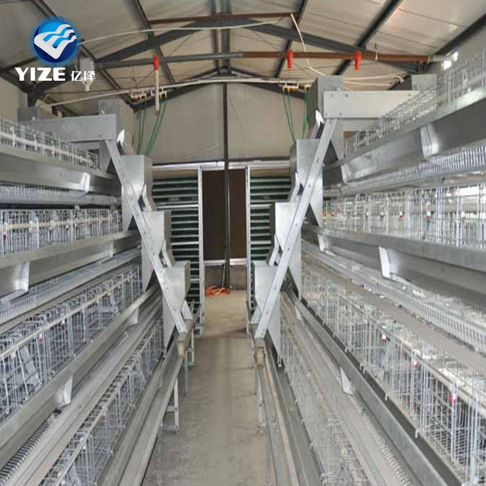 Aviculture bon marché matériel agricole Prix 96/120/128/160 oiseaux galvanisés à chaud Cage de couche