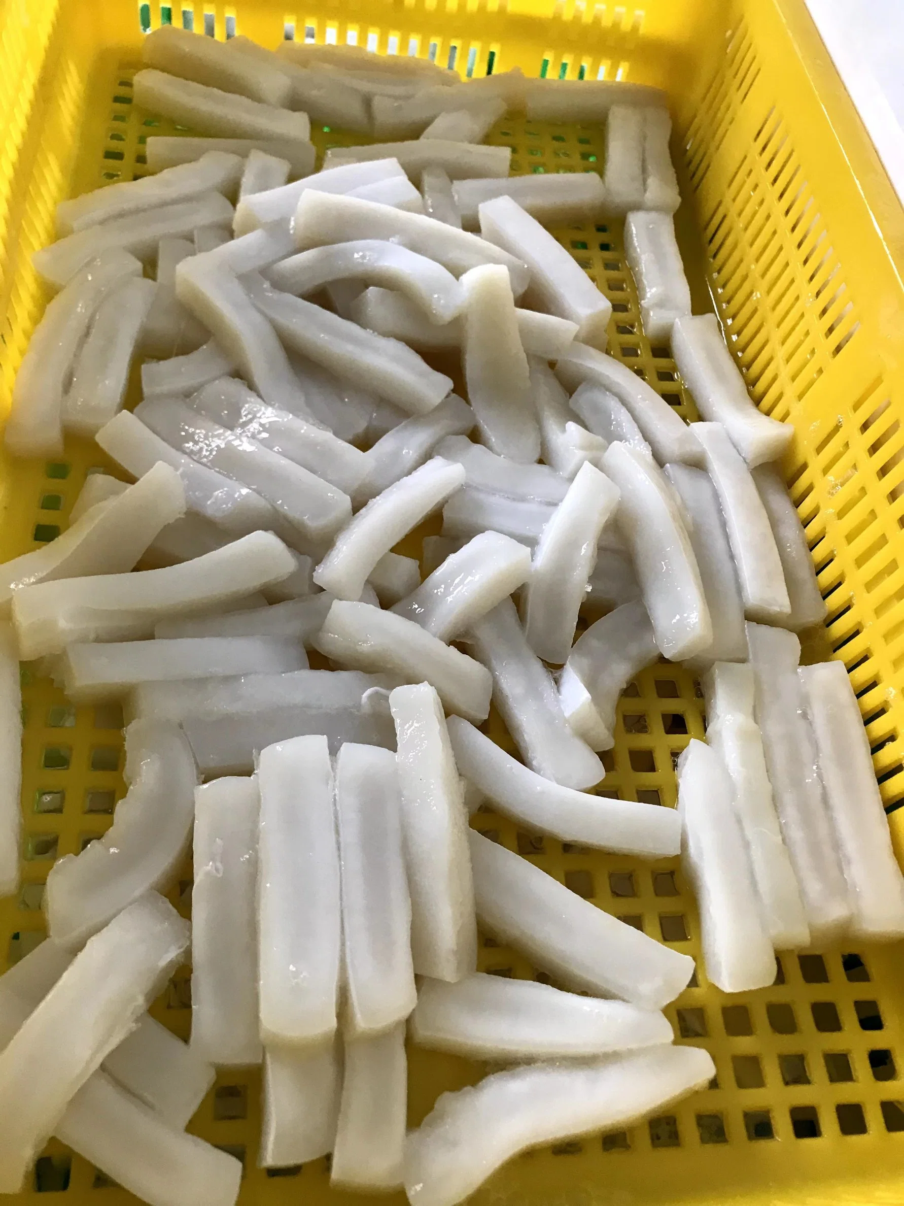 Frozen Squid Stick/Frozen Squid Strips/Gigas Strips/ Illex Strips/Broken Rings/Calamari/Calamar/Calmar/Pota