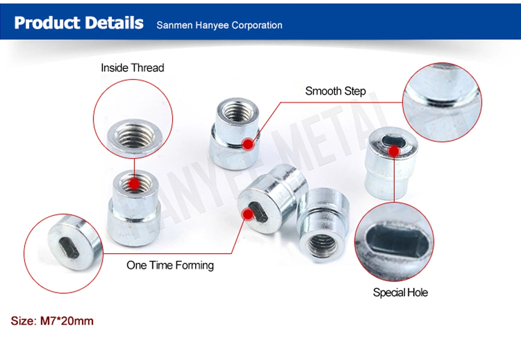 Through Hole Shaped Head Insert Nut Step Fastener