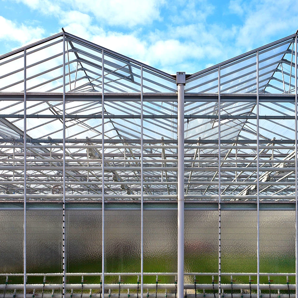 PC Board Film Glass Greenhouse with Anti Insect Net/Fan Boiler Plant Strawberry/Cucumber/Eggplant/Tomato/Pepper