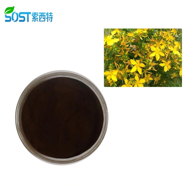 High Purity Natural Hypericin St John's Wort Extract Powder