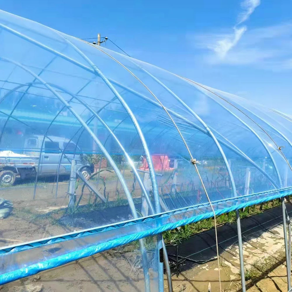 Agriculture Single Span High Tunnel Greenhouse Plastic Cover for Sale