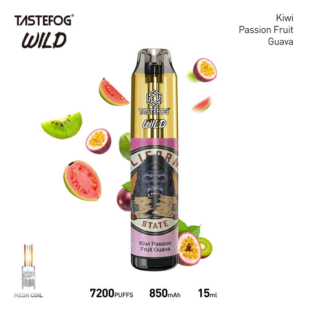 Tastefog Wild 7000 Baforadas Vape 850mAh Tipo C isqueiros recarregáveis Mini e cigarros