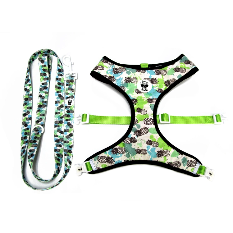 Fashion Pet Supplies Wholesale/Supplier Collars Leashes Ins Hot Dog Harness