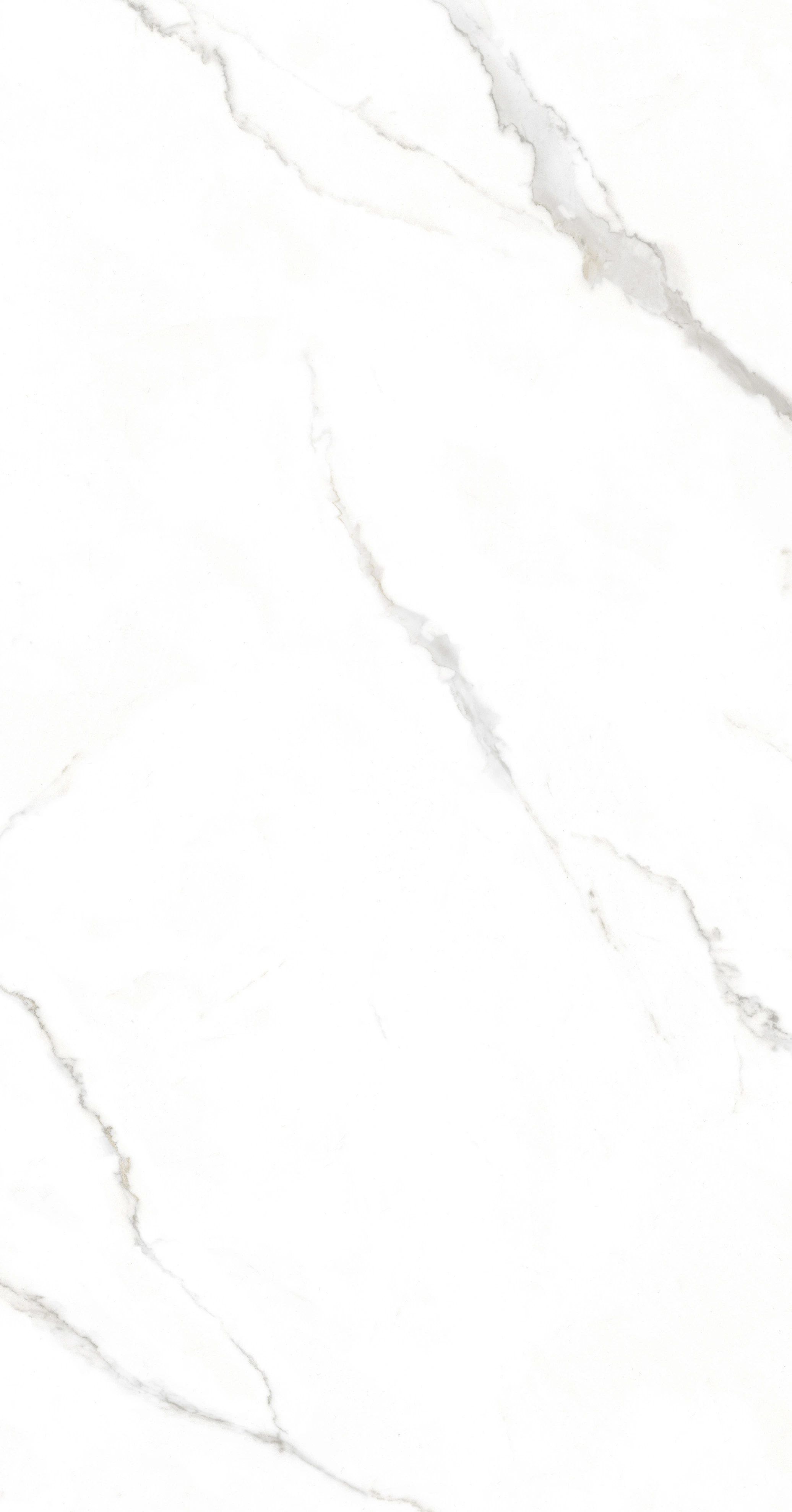 Chinese White Marble Tile Full Size 60X120 Porcelain Floor and Wall Tile