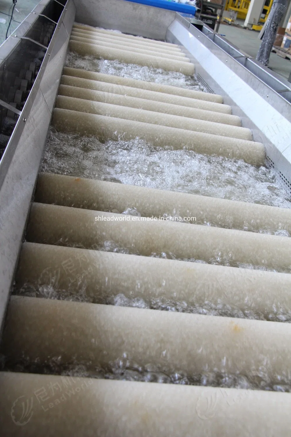 Machine à laver industrielle pour artichauts, oignons, bulbes d'eau