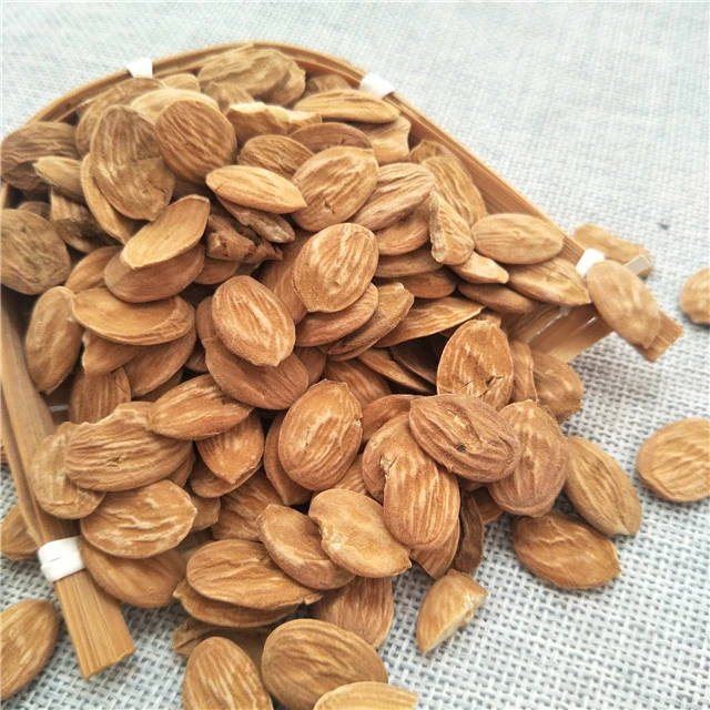 Tao ren Wholesale/Supplier dried peach kernel peach seeds for sale