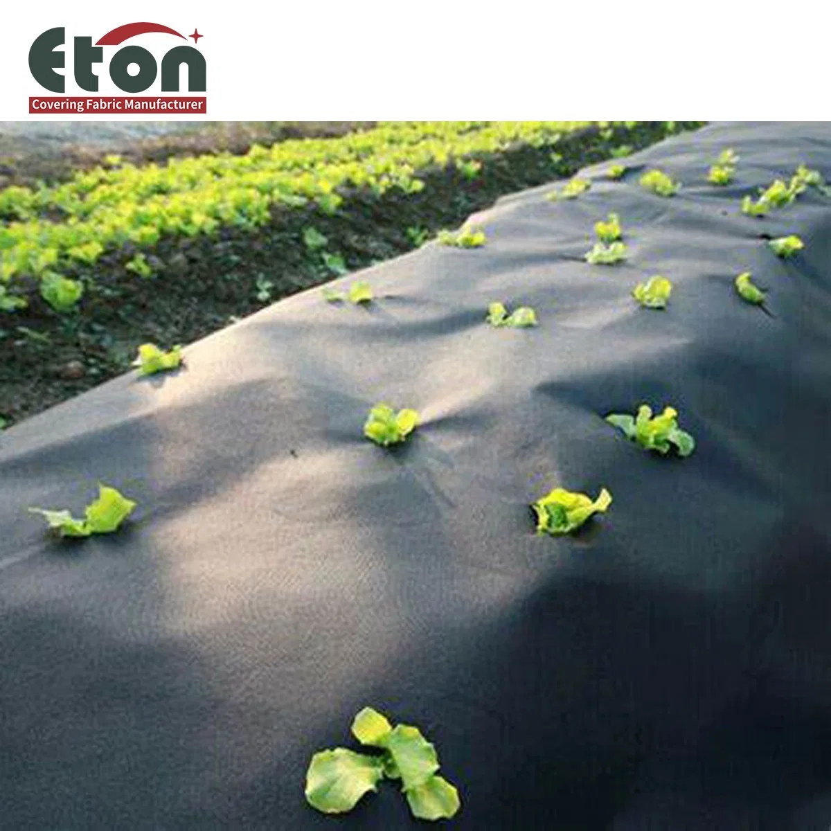 100% New Material PP/PE Woven Weed Control Fabric for Garden Nurseries