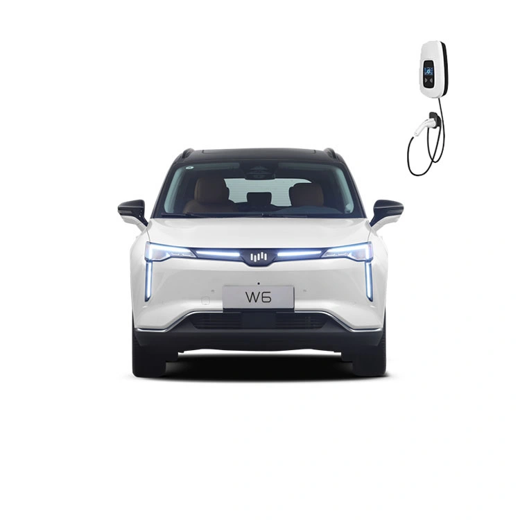 Weima W6 White Classic SUV EV Type Electric Vehicle Car Hot Sale Long Range