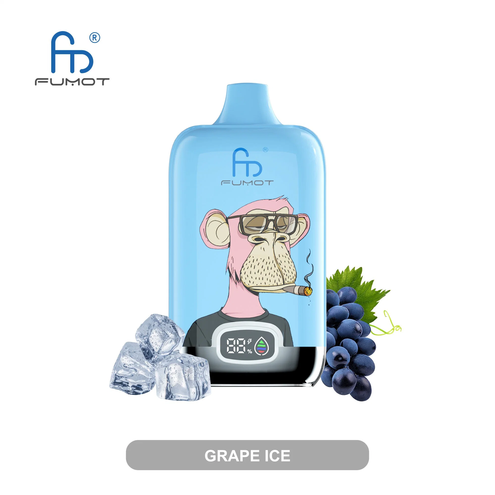 Boîte numérique Randm Fumot originale 12000 12 K avec batterie Et EJuice Display Vape OEM à usage unique