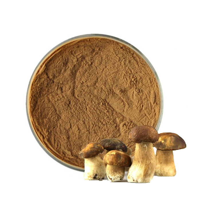 Organic Shaggy Mane Mushroom Polysaccharide Powder Coprinus Comatus Extract