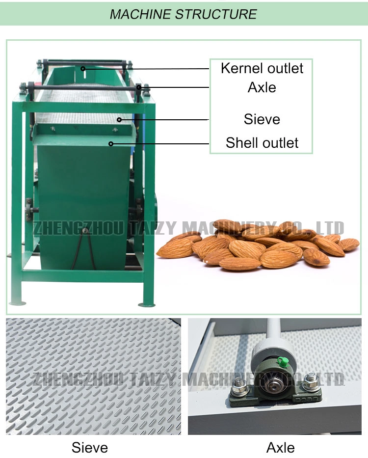 Palm Kernel Almond Shell and Kernel Separator Machine Walnut Kernel Processing Machine