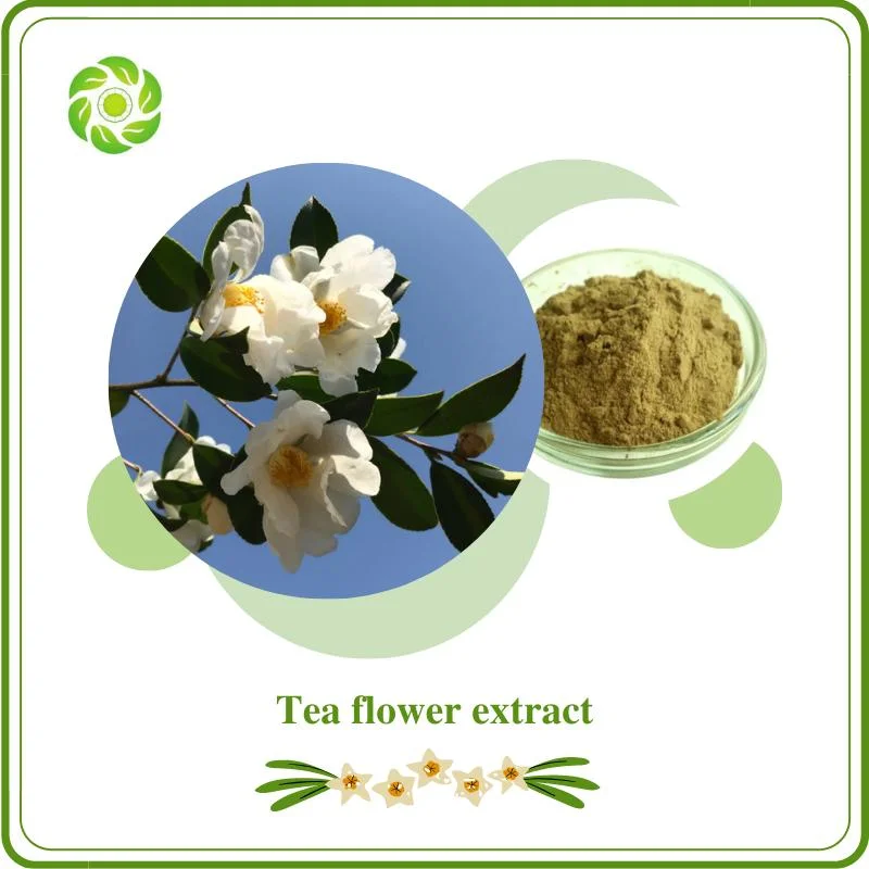 Tea Flower Extract 50%; High quality/High cost performance  and High Efficiency Manufacturer