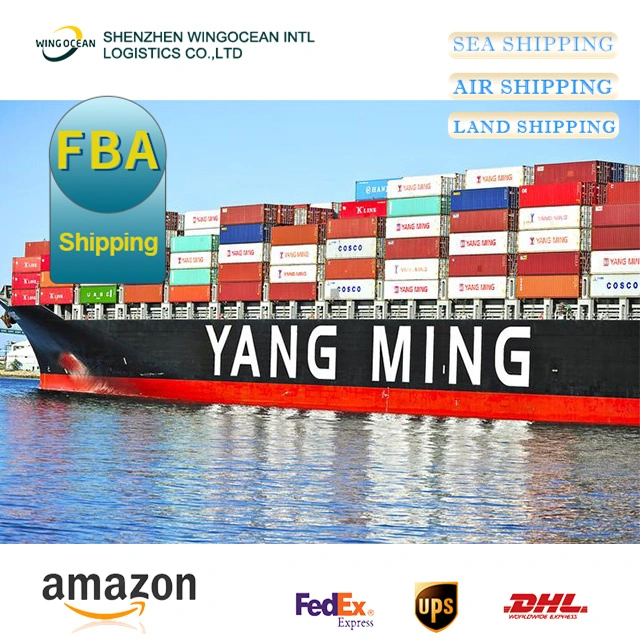 Fba Logistics to Amazon 2023 Cheapest and Faster Logistic Service Shipping From China to Canada, Europe, Australia