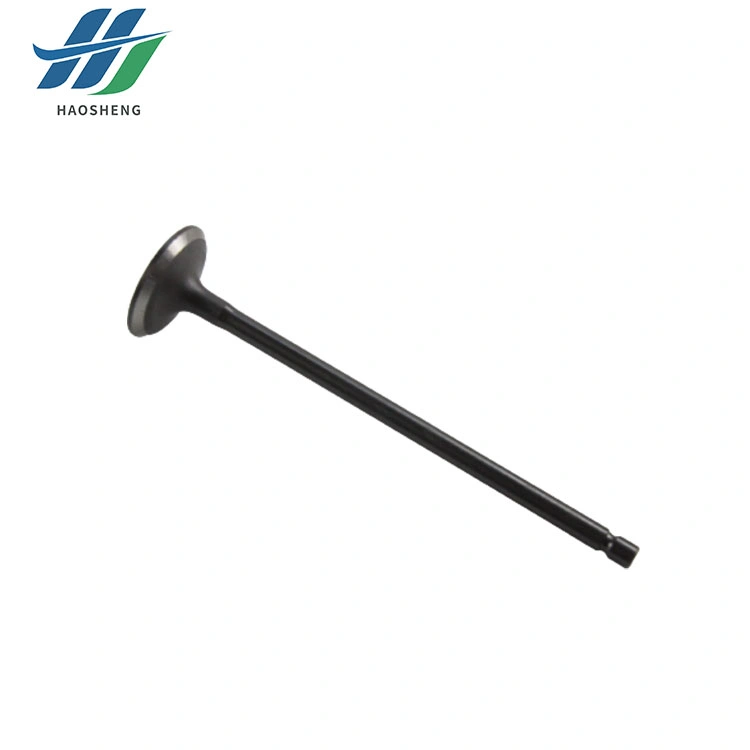 Auto Parts Engine Intake Valve and Exhaust Valve for Honda Crider Ge6 8 GM2 1.5 L15A7 14711-Rb0-J00