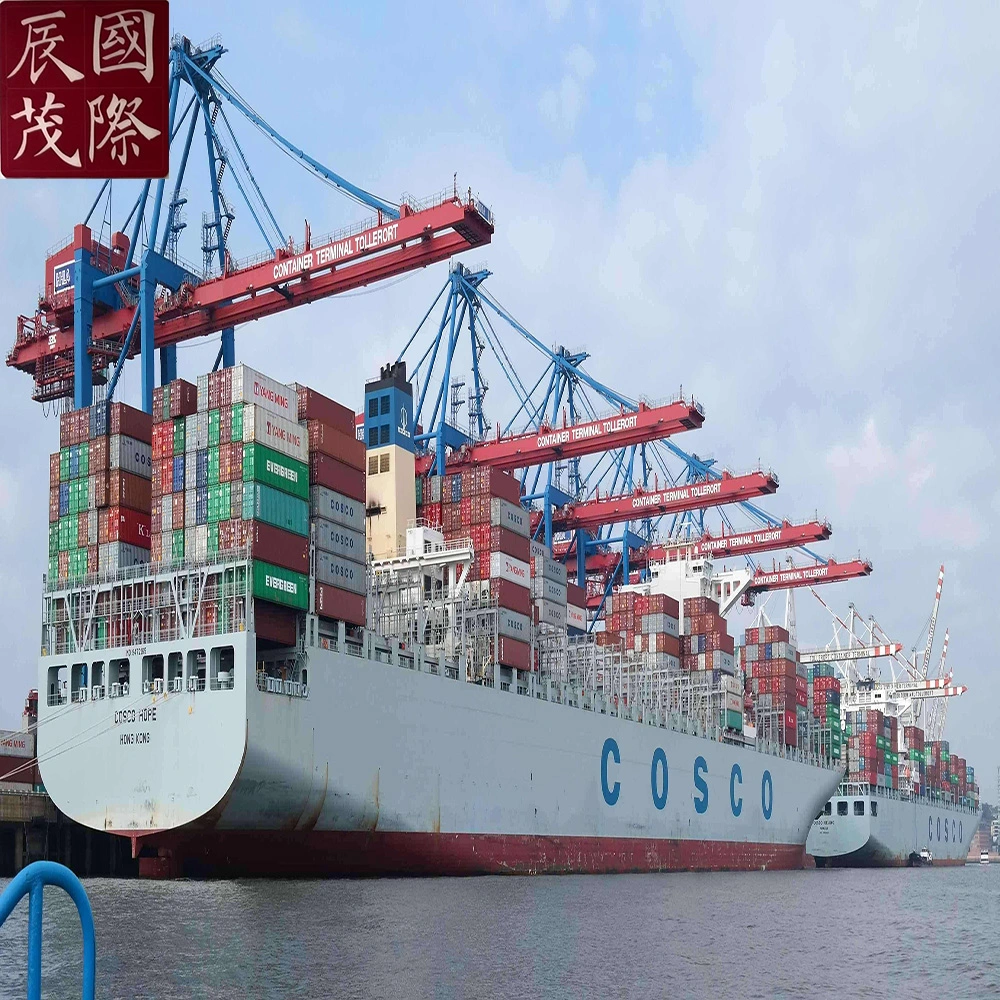 International Sea Freight Shipping Company com despachante de cargas de Guangzhou (CNCAN/CNHPU), Shenzhen (CNDCW/CNSHK), Xangai (CNSHA/CNWGQ) na China até a Polônia