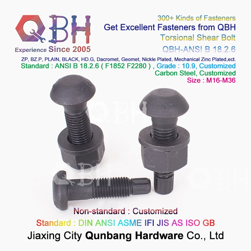 Qbh Customized Torsional Shear Tension Control Tc Bolt Nut Washer Boiler Hardware