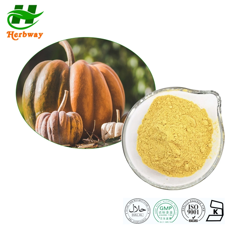 Green Pigment Pumpkin Extract/ Cucurbita Powder/ Pumpkin Powder Extract