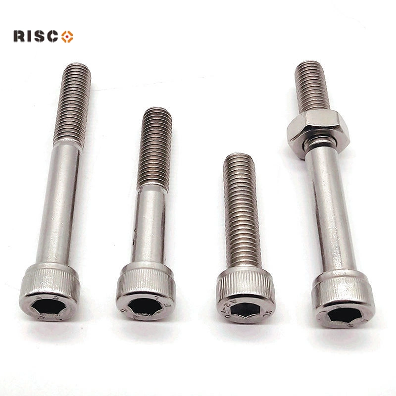 Fastener DIN912 S. S304/316 A2/A4 Hex Socket Head Cap/Flange/Allen/ Carriage/U/Eye/Anchor/Screw Bolt