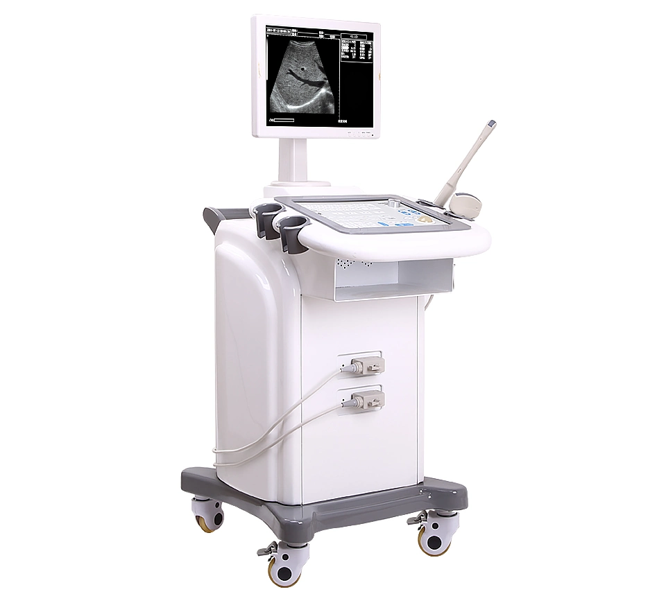 Hochey Medical Ultrasound Pets Portable Animals Vet B Scanner LED Veterinary Ultrasound