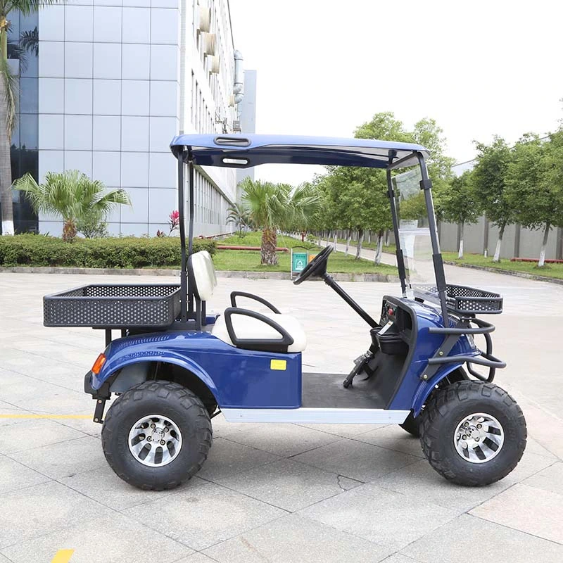 China Manufacturer Marshell Utility Vehicle 2 Seater Electric Golf Buggy (DH-C2)