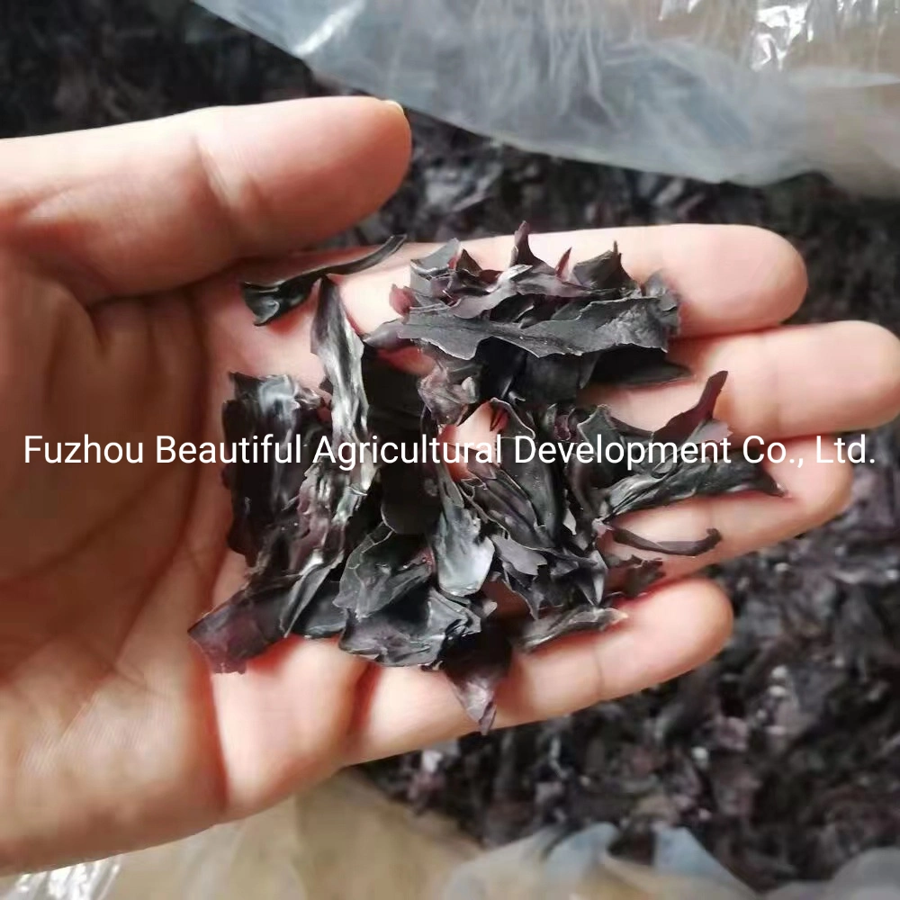 Dried Red Seaweed Palmaria Palmata/Dulse in Flakes