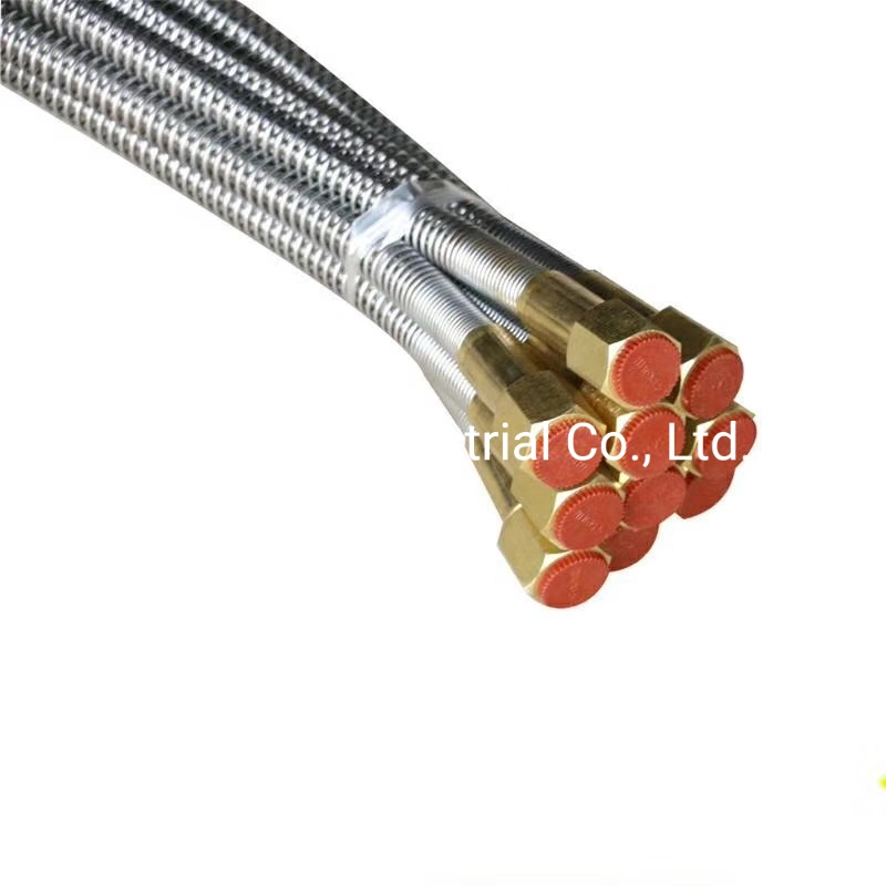 304 Braided Flexible Metal Hose for Water Heater Hose