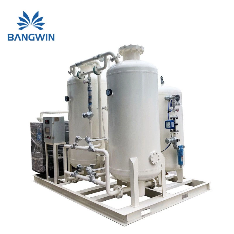 Bangwin Psa Oxygen Plant CE Certification Oxygen Gas Generator 95% High Concentration