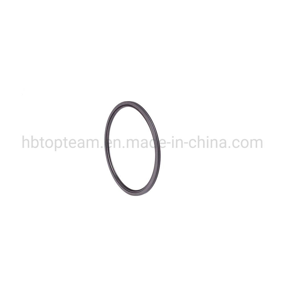 China Manufacturer Oep/Tg4/M16/Oq/Yrb/SKD/Gns Hydraulic Cylinder Double-Action Piston Rotary Glyd Seal Ring