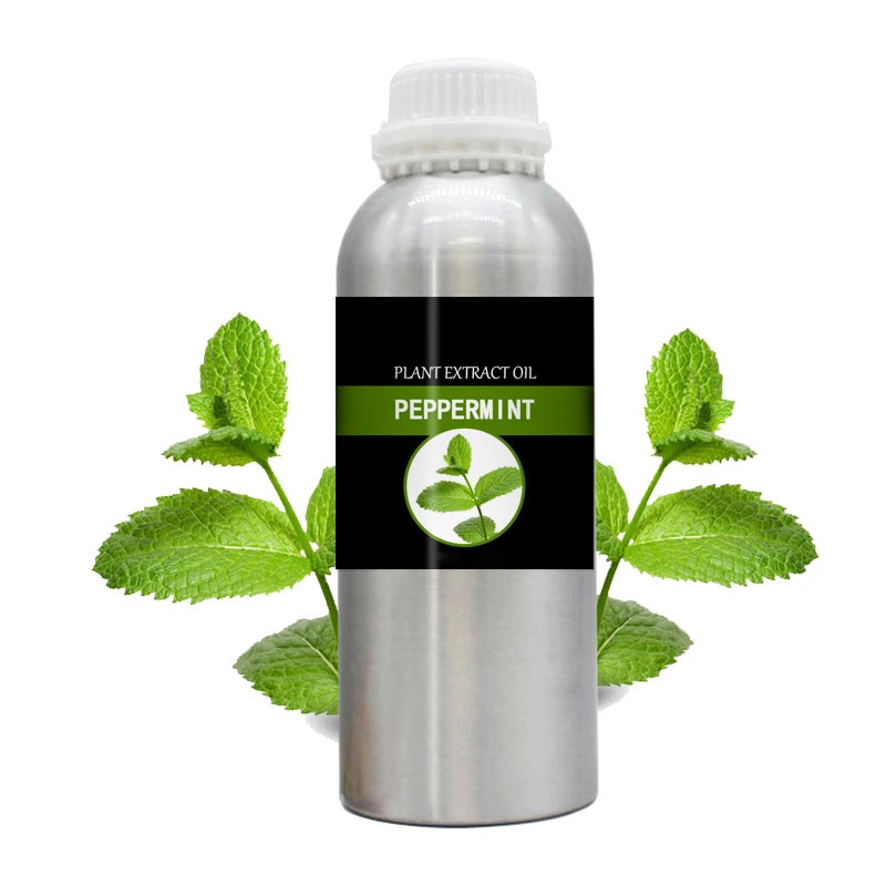 Aceite de menta 100% puro con muestra gratuita aceite esencial Nuevo Bulk para el verano caliente enfriar abajo rociador Baño de enfriamiento Peppermint Aceite