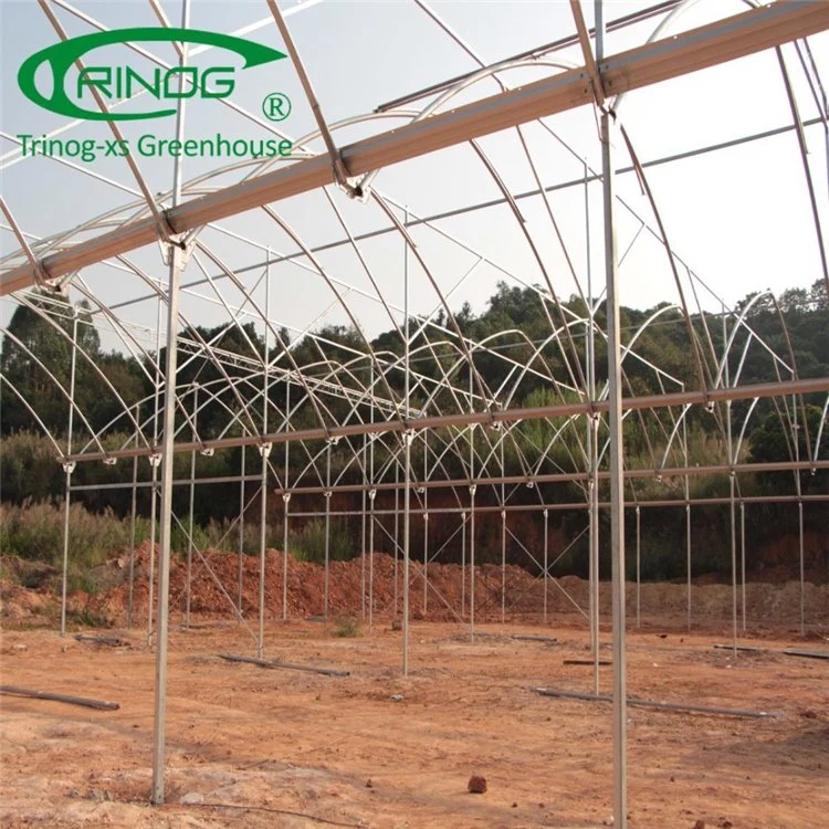 Low Price Agricultural Multi-span Film Greenhouse for Sale