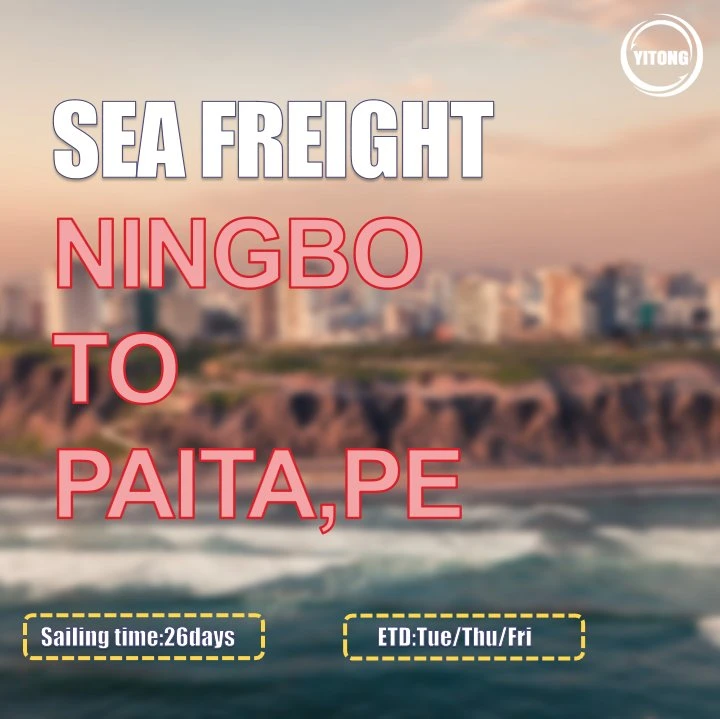 Sea Freight Rates Per Kg From Shenzhen to Paita Peru