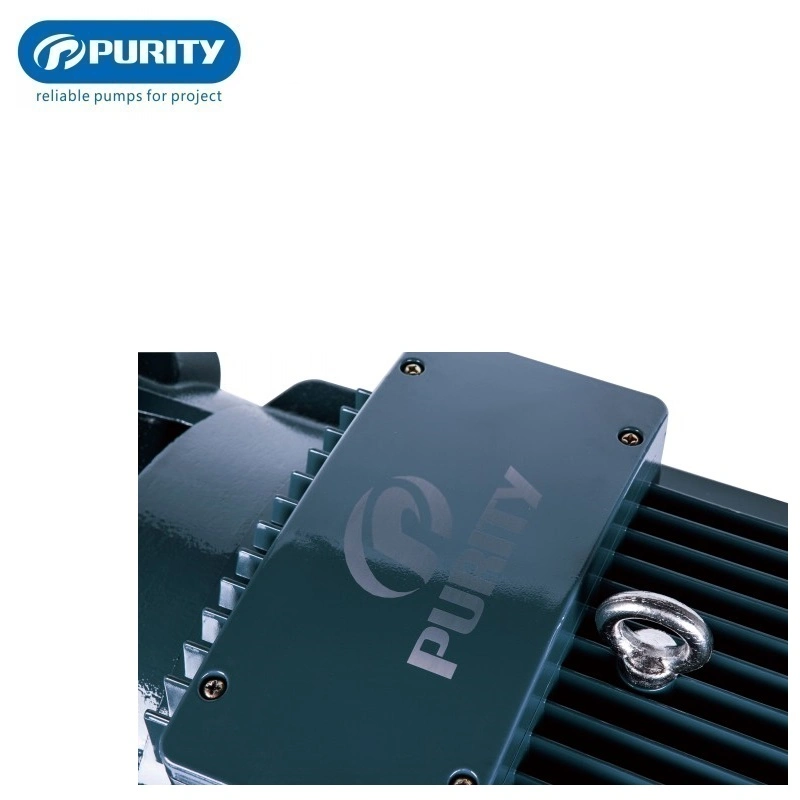 Purity Electric Close Coupled Monoblock Surface Zentrifugalwasserpumpe