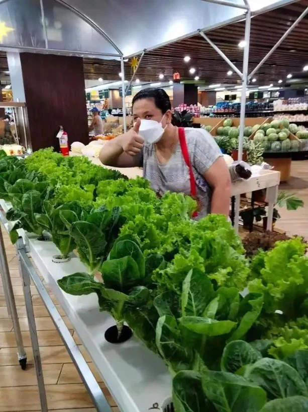 Hydroponics NFT System Fabricante tubo cuadrado de PVC para verduras de hoja Sistema de invernadero hidropónico