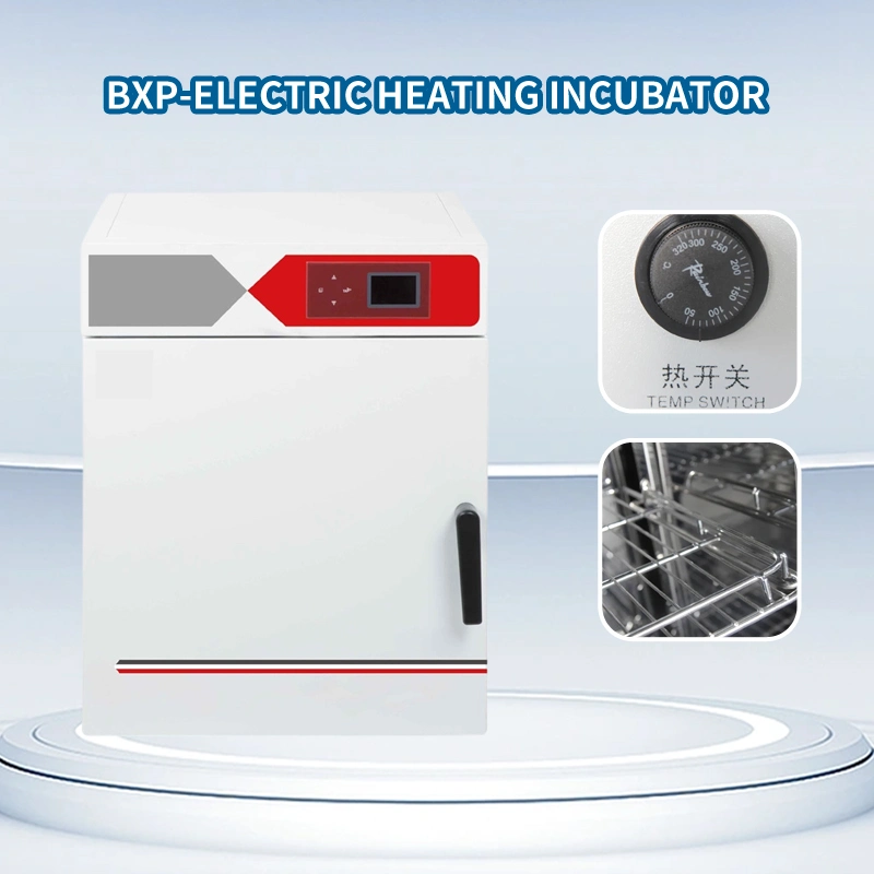 Electric Constant Temperature Incubator Best Selling Lab Instrument Lab Equipment Thermostat with High quality/High cost performance 