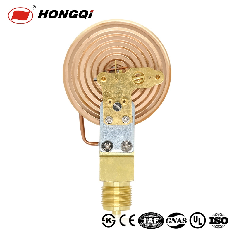 100mm Natural Gas Capsule Pressure Gauge Barometer Micro Capsule Pressure Meter for Gas / Air / Water