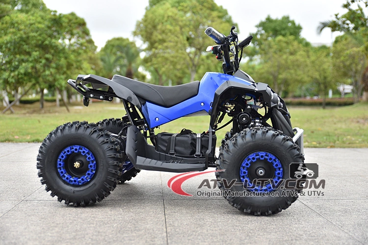 36 V 48 V 60 V 500 W 600 W 800 W motor 1000 W Kids Electric Moto 4 EEC Quad 2 Seat ATV/transmissão elétrica