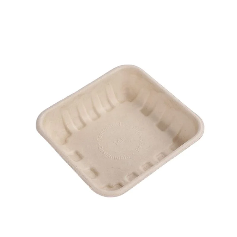 4D Compostable Pulp Tableware Biodegradable Square Food Meat Tray Boxes