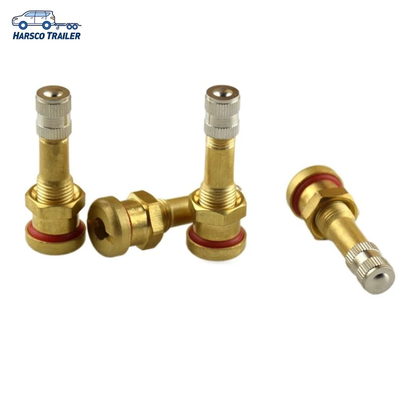 V3.20.1 European Style O-Ring Steel Clamp-in Brass Valves