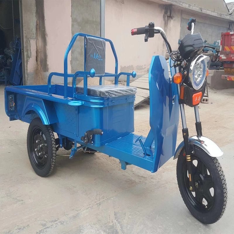 1000W Gear Motor Three-Wheeled Electric Motorcycle with Big Trunk