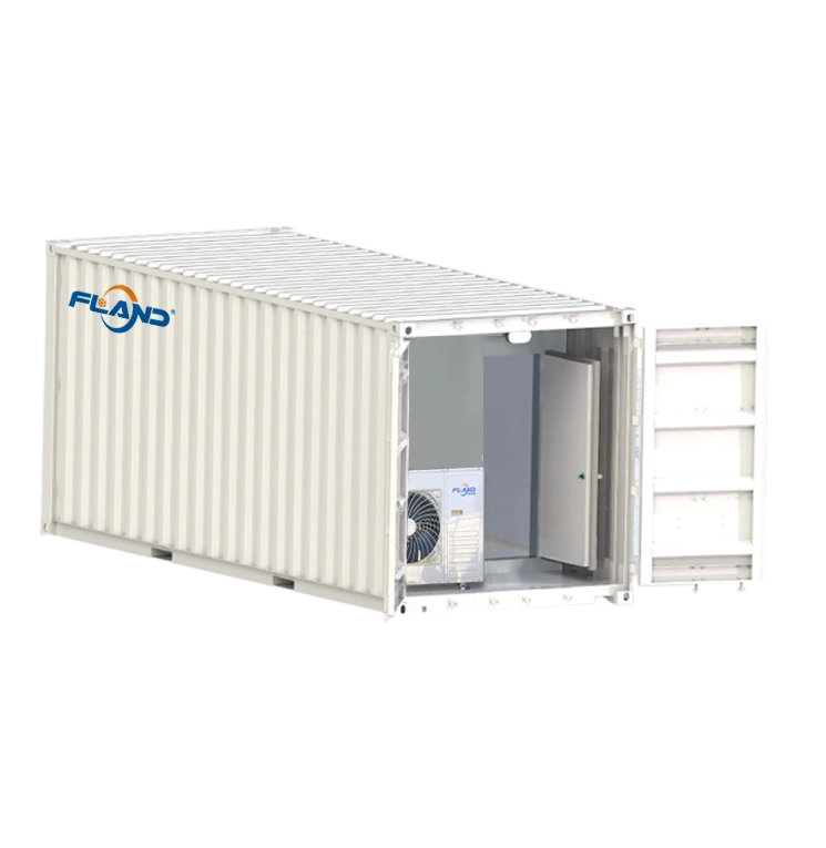 Professional Manufacturer Container Cold Room Cold Storage for Frozen Food Meat