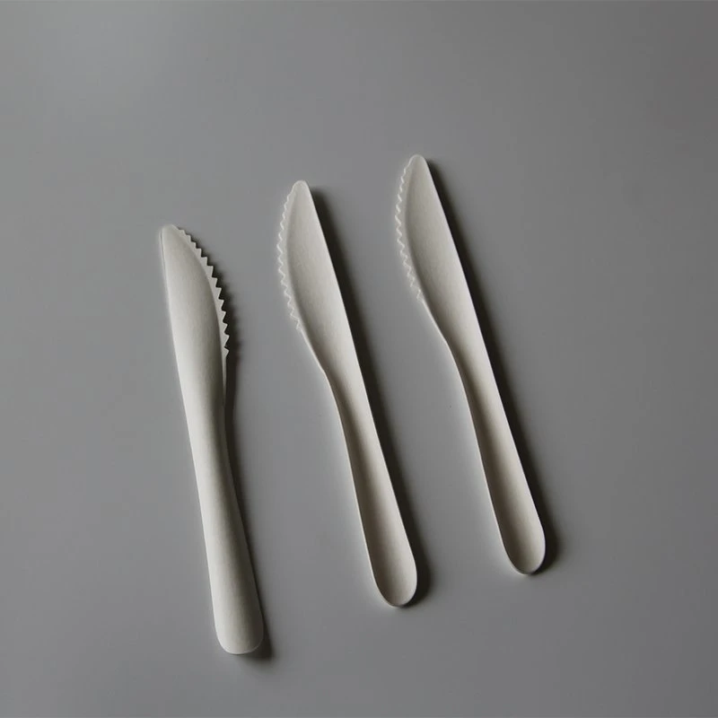 Disposable Paper Cutlery Set 100% Biodegradable Bagasse