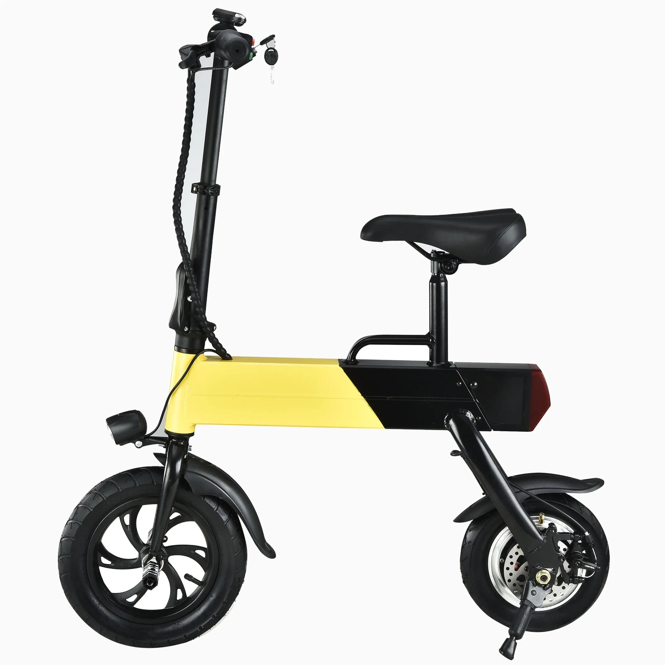 Chinese Factory 12 Inch Tire Folding 30km/H 350W Electric Bike