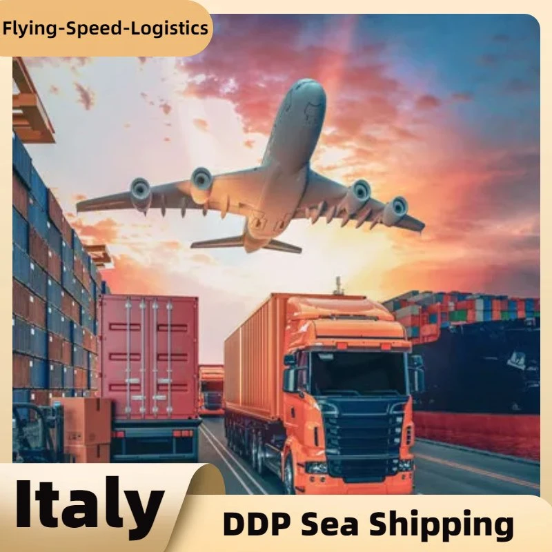 DDP Sea Freight Shipping Agent Shipping Cargo to Italy Freight Forwarder