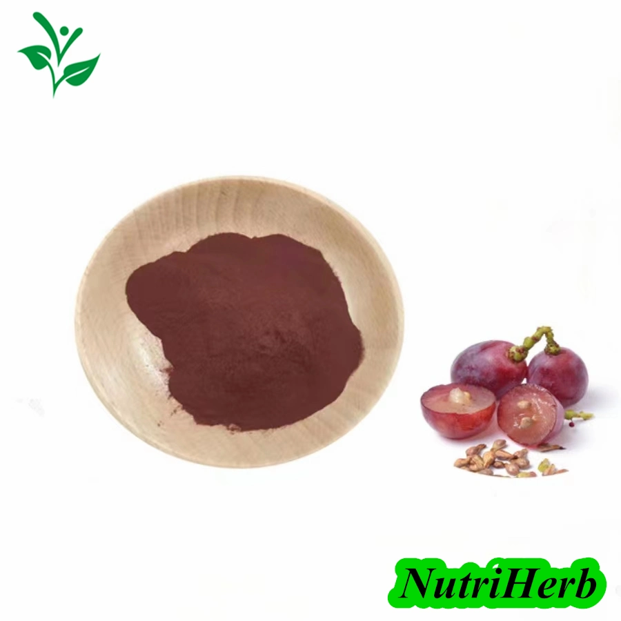 Billiger Preis 95% OPC Anthocyanin Bio-Traubenkernextrakt Pulver