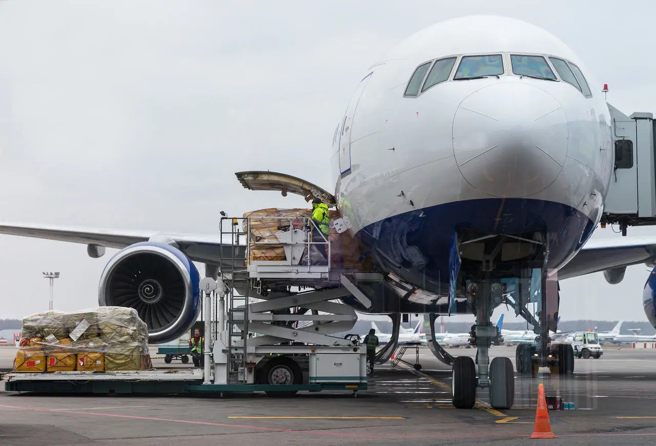 Professioneller Amazon Versand durch Amazon Luftfracht/DHL FedEx UPS TNT/Versandmitarbeiter von China bis Zypern