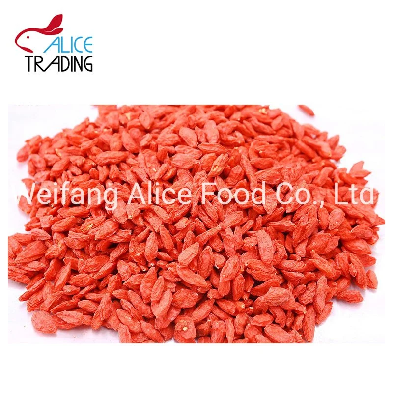 New Crop Healthy Food Dried Goji Berry Wolfberry Dry Goji